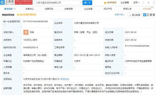 深圳计算机系统服务 数字时代的创新引擎与产业支柱